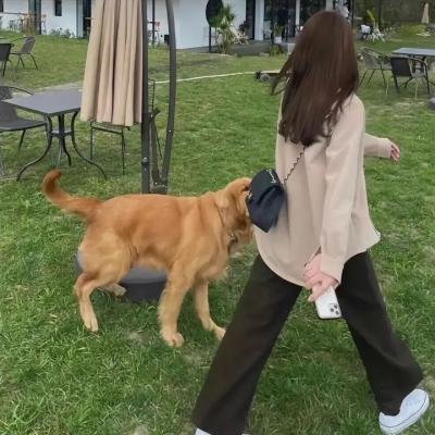 无名死婴